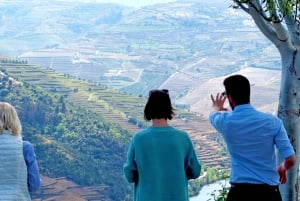 Da Porto: Tour della Valle del Douro con crociera sul fiume e pranzo