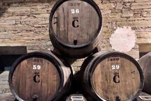 Da Porto: Tour della Valle del Douro con crociera sul fiume e pranzo