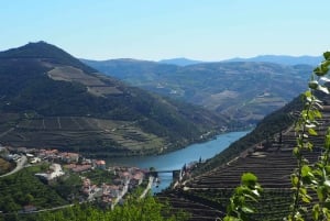 Da Porto: Tour della Valle del Douro con crociera sul fiume e pranzo