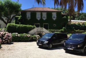 Da Porto: Tour della Valle del Douro con crociera sul fiume e pranzo