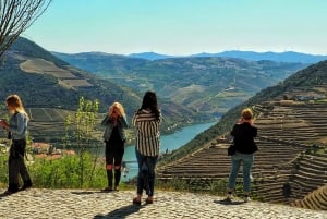 Da Porto: Tour della Valle del Douro con crociera sul fiume e pranzo