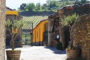 Da Porto: Tour della Valle del Douro con crociera sul fiume e pranzo