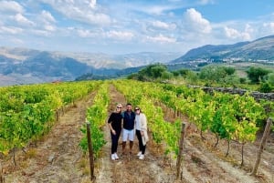 Da Porto: Tour della Valle del Douro con crociera sul fiume e pranzo