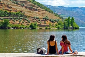Da Porto: Tour della Valle del Douro con crociera sul fiume e pranzo