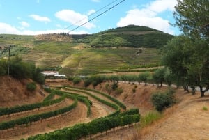 Da Porto: Tour della Valle del Douro con crociera sul fiume e pranzo