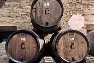 Da Porto: Tour della Valle del Douro con crociera sul fiume e pranzo