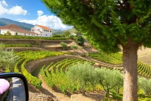 Da Porto: Tour della Valle del Douro con crociera sul fiume e pranzo