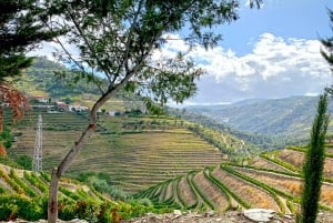Da Porto: Tour della Valle del Douro con crociera sul fiume e pranzo