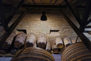 Da Porto: Tour della Valle del Douro con crociera sul fiume e pranzo