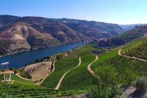 Da Porto: Tour della Valle del Douro con crociera sul fiume e pranzo