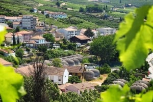 Da Porto: Tour della Valle del Douro con crociera sul fiume e pranzo