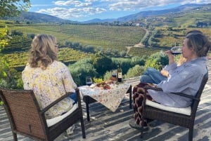 Porto: Valle del Douro con 1 o 2 cantine, pranzo e tour in barca