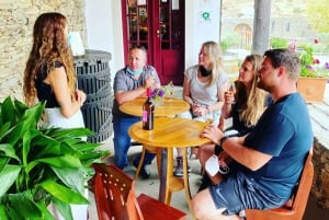 Porto: Valle del Douro con 1 o 2 cantine, pranzo e tour in barca