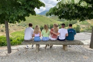 Porto: Valle del Douro con 1 o 2 cantine, pranzo e tour in barca