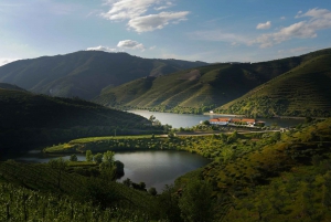Porto: Valle del Douro con 1 o 2 cantine, pranzo e tour in barca