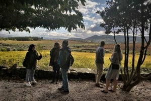 Porto: Valle del Douro con 1 o 2 cantine, pranzo e tour in barca