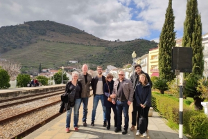 Porto: Valle del Douro con 1 o 2 cantine, pranzo e tour in barca