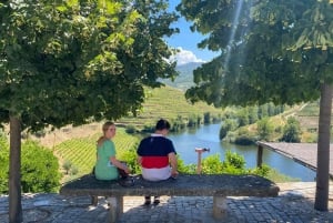 Porto: Valle del Douro con 1 o 2 cantine, pranzo e tour in barca