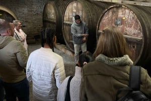Porto: Valle del Douro con 1 o 2 cantine, pranzo e tour in barca