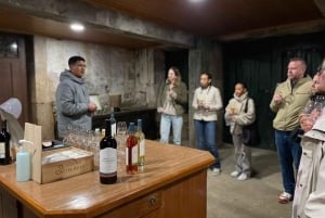 Porto: Valle del Douro con 1 o 2 cantine, pranzo e tour in barca