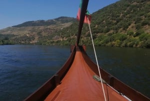 Porto: Valle del Douro con 1 o 2 cantine, pranzo e tour in barca