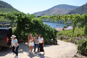 Porto: Valle del Douro con 1 o 2 cantine, pranzo e tour in barca