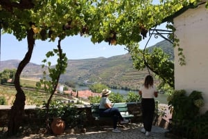 Porto: Valle del Douro con 1 o 2 cantine, pranzo e tour in barca