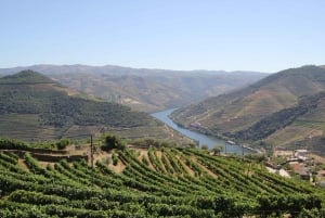 Från Porto: Dourodalen med vingårdar, lunch och båttur