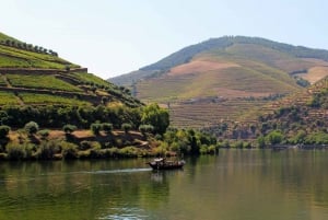 Från Porto: Douro Valley Tour med provsmakningar, båttur och lunch