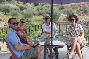 Från Porto: Douro Valley Tour med provsmakningar, båttur och lunch
