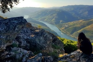 Från Porto: Douro Valley Tour med provsmakningar, båttur och lunch
