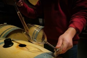 Från Porto: Douro Valley Tour med provsmakningar, båttur och lunch