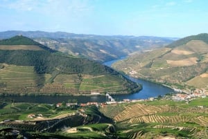 Från Porto: Douro Valley Tour med provsmakningar, båttur och lunch