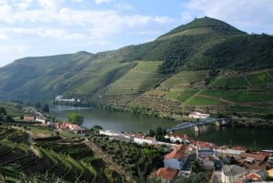 Från Porto: Douro Valley Tour med provsmakningar, båttur och lunch