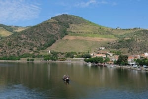 Från Porto: Douro Valley Tour med provsmakningar, båttur och lunch