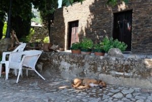 Från Porto: Douro Valley Tour med provsmakningar, båttur och lunch