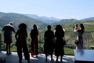 Från Porto: Douro Valley Tour med provsmakningar, båttur och lunch