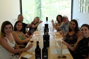 Från Porto: Douro Valley Tour med provsmakningar, båttur och lunch