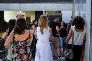 Från Porto: Douro Valley Tour med provsmakningar, båttur och lunch