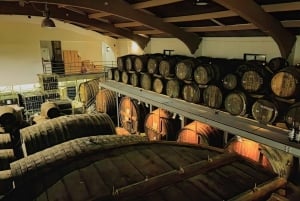 Från Porto: Douro Valley Tour med provsmakningar, båttur och lunch