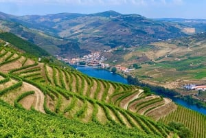 Från Porto: Douro Valley Tour med provsmakningar, båttur och lunch