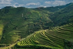 Från Porto: Douro Valley Tour med provsmakningar, båttur och lunch