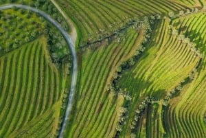 Från Porto: Douro Valley Tour med provsmakningar, båttur och lunch