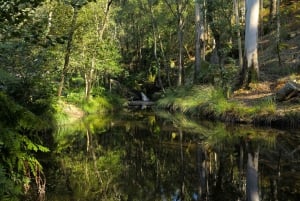 Porto : randonnée pédestre vers les cascades et les ruines romaines