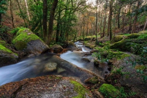 Porto : randonnée pédestre vers les cascades et les ruines romaines