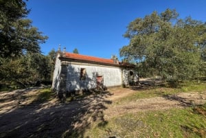 Porto : randonnée pédestre vers les cascades et les ruines romaines