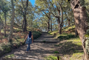 Porto : randonnée pédestre vers les cascades et les ruines romaines