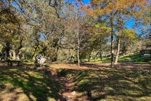 Porto : randonnée pédestre vers les cascades et les ruines romaines