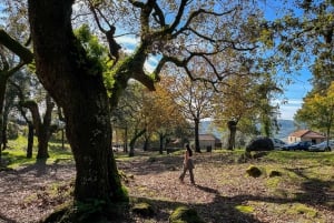 Porto : randonnée pédestre vers les cascades et les ruines romaines