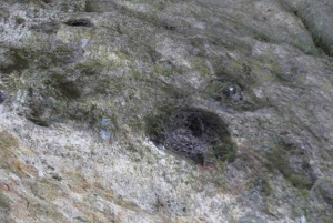 Do Porto: Serra da Freita [Arouca Geopark] - Passeio de jipe